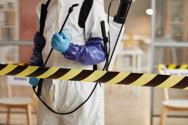 Professional Sewage Cleanup technician working in Springview, NE